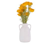 Imagen en miniatura del producto