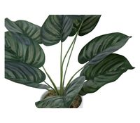 Imagen en miniatura del producto