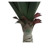 Imagen en miniatura del producto