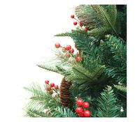 Imagen en miniatura del producto