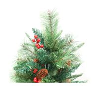 Imagen en miniatura del producto