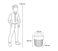 Imagen en miniatura del producto