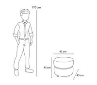 Imagen en miniatura del producto