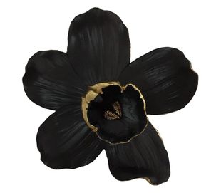 Imagen en miniatura del producto