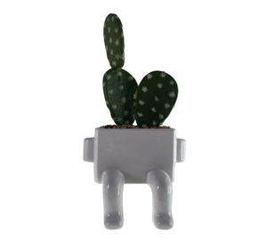 Imagen en miniatura del producto